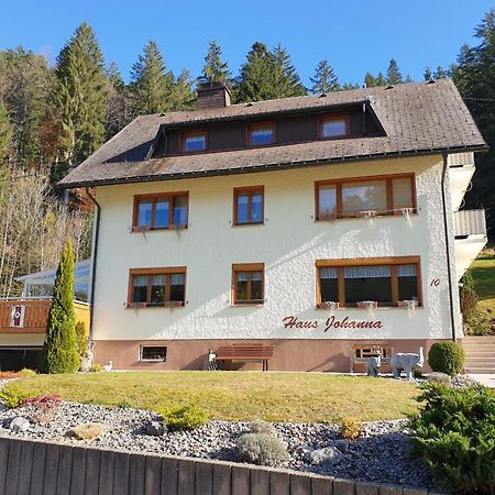 Haus Johanna Todtmoos Luaran gambar