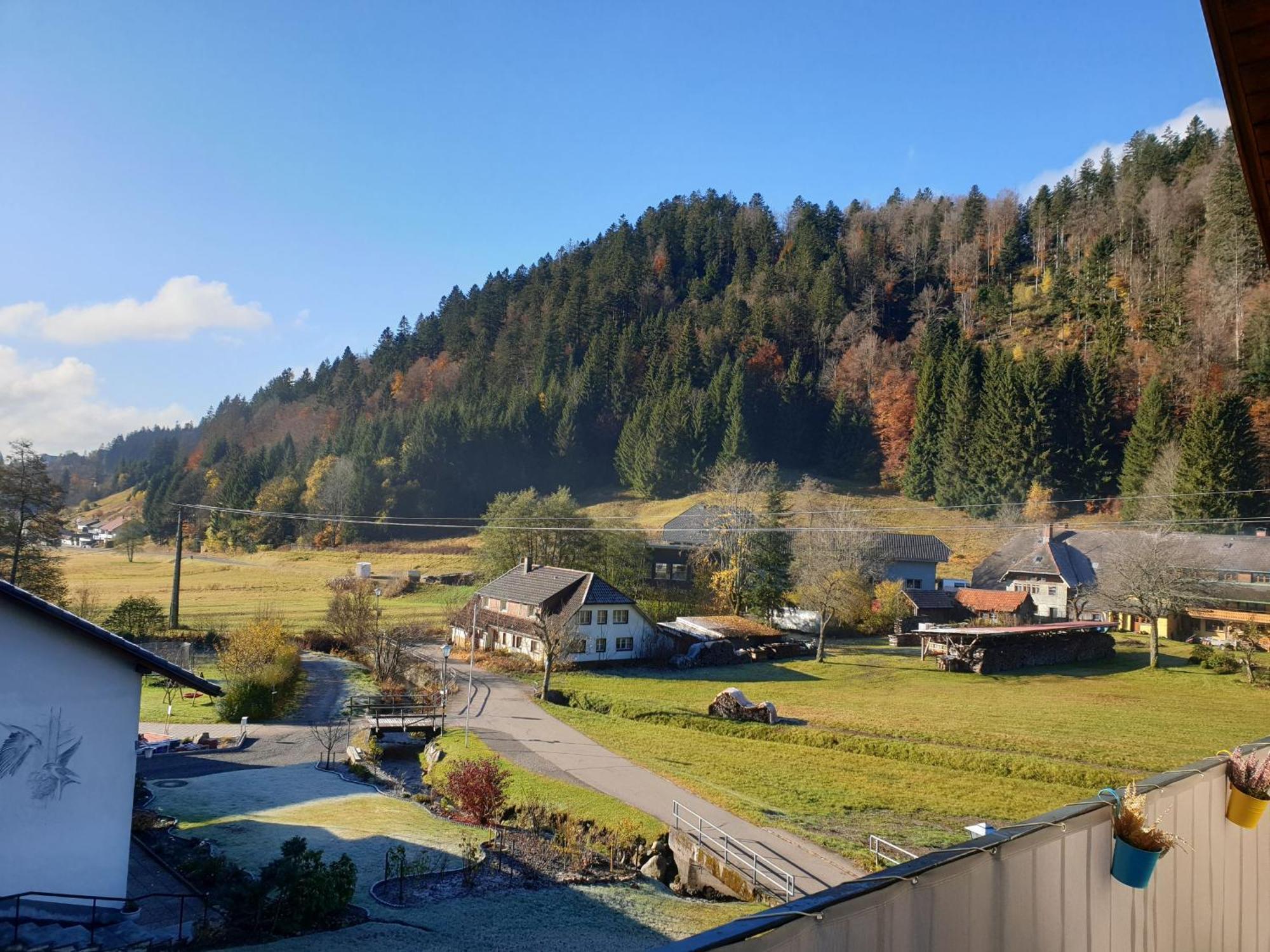 Haus Johanna Todtmoos Luaran gambar